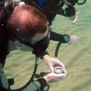 Divers practice navigation in the bays of Cabo de Palos