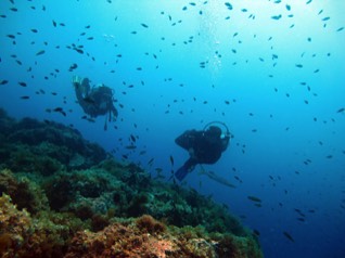 Divers over the reef at Bajo de Dentro