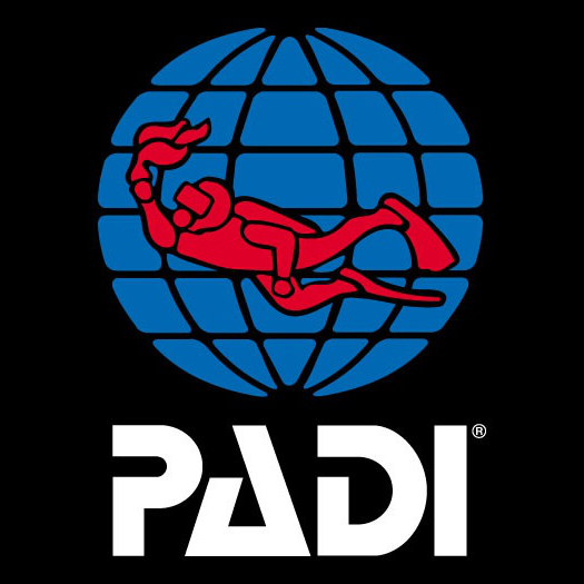 Padi Divemaster Course With Dive Dive Dive